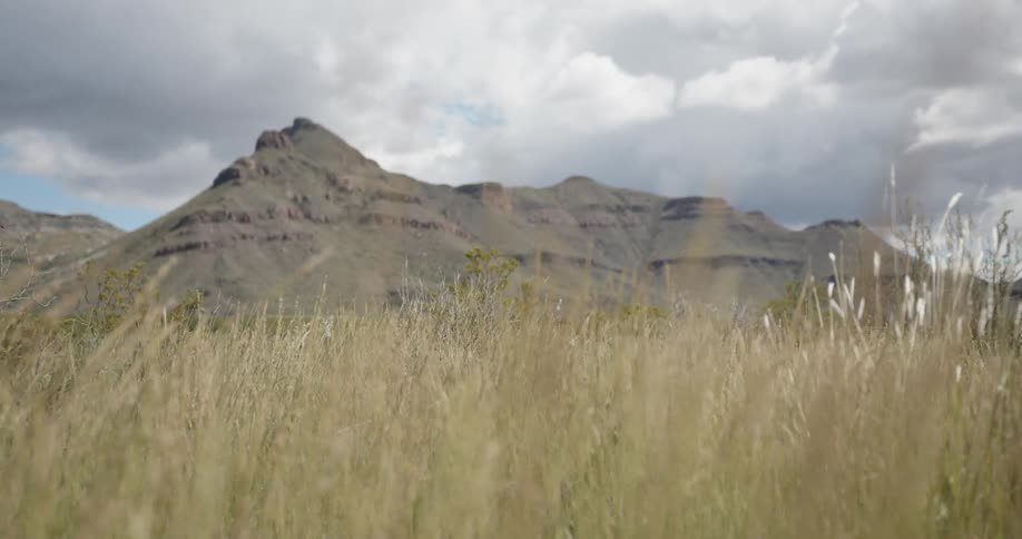 Big Bend Scenics