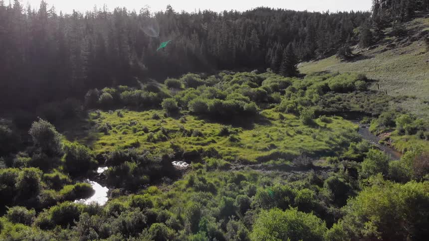 Colorado Trail Aerials