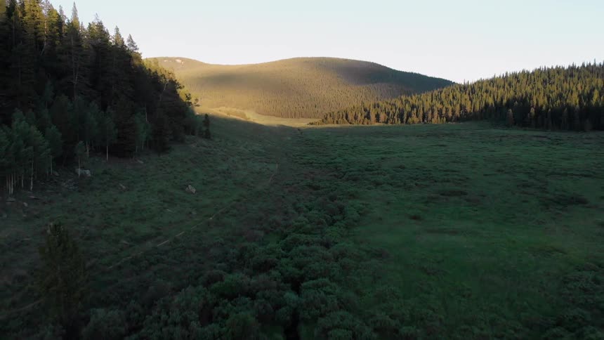 Colorado Trail Aerials