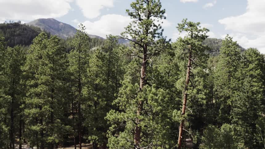 Southern Colorado Aerials