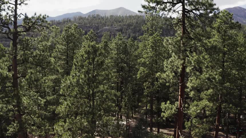 Southern Colorado Aerials
