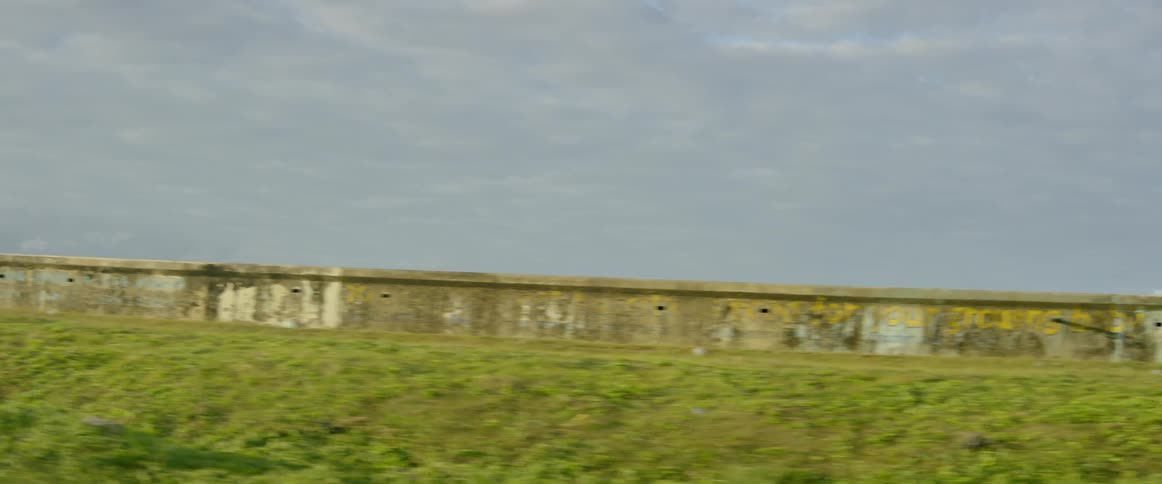 Driving In Guyana
