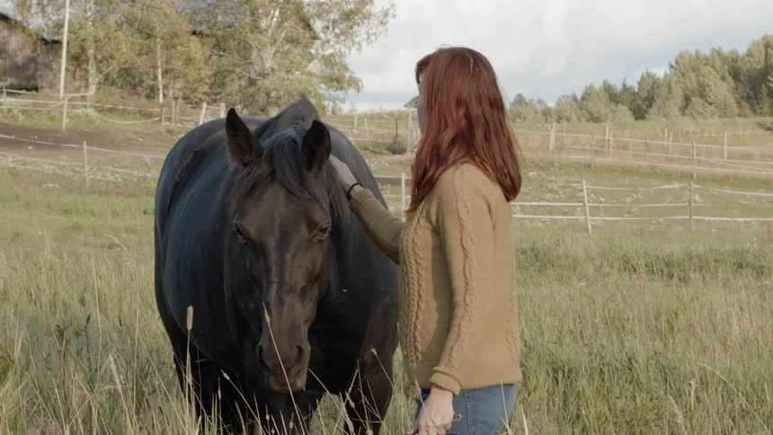 Sustainable Farm With Animals