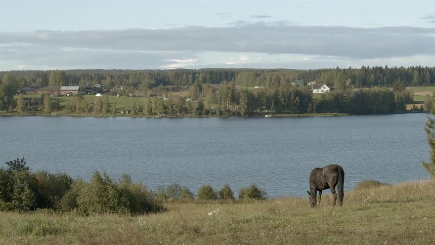 Sustainable Farm With Animals