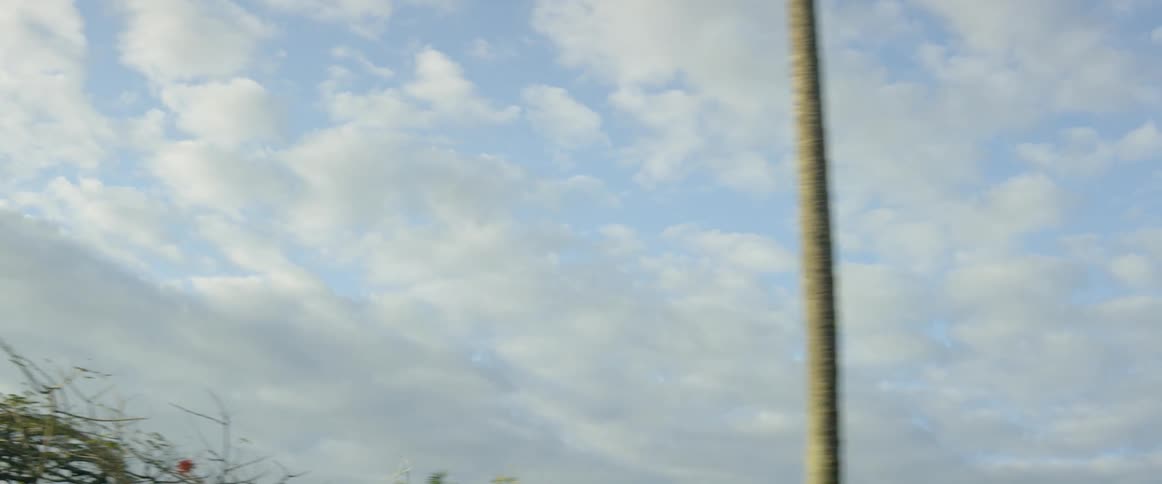 Driving In Guyana