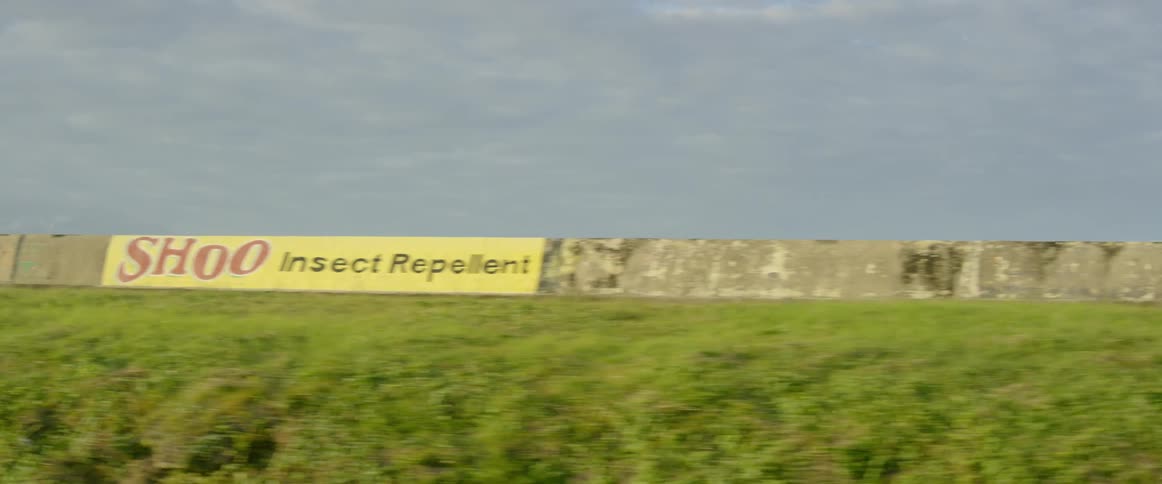 Driving In Guyana