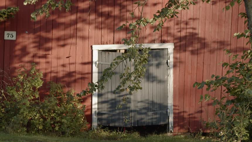 Sustainable Farm With Animals