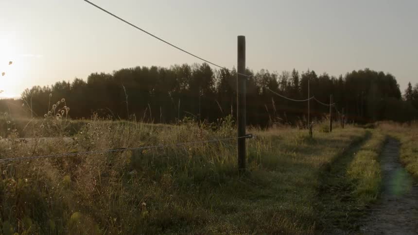 Sustainable Farm With Animals