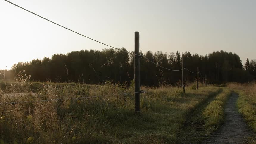 Sustainable Farm With Animals