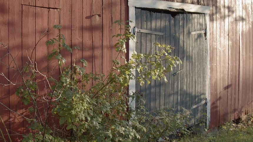 Sustainable Farm With Animals