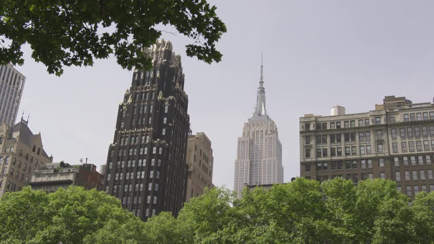 City skyline towers over tree tops during clear day