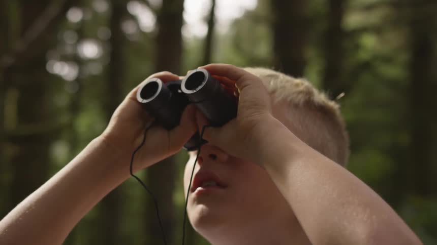 A young boy surrounded by tall trees is looking upward through binoculars