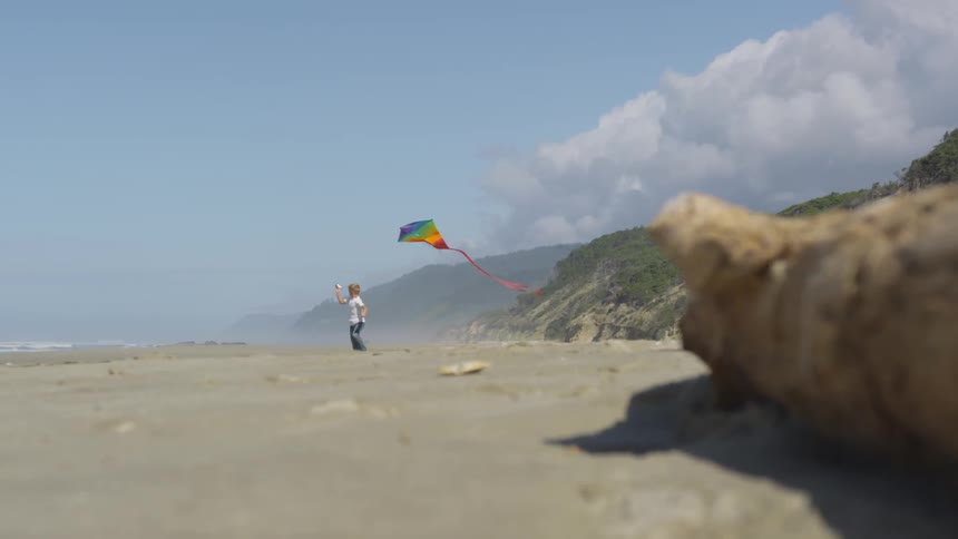 Shells and a log lie on a beach where a boy is flying a colorful kite