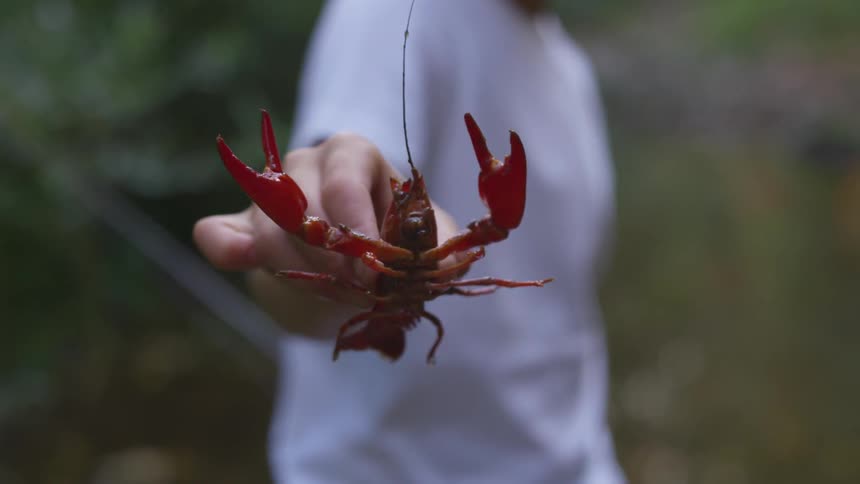 Person holds live crawfish