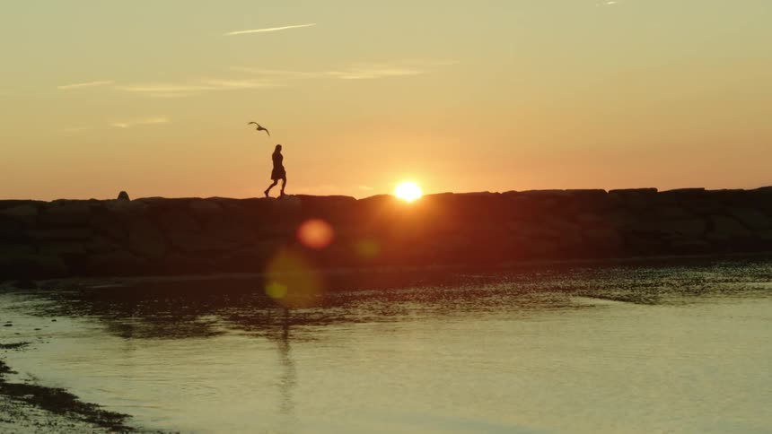 A person walks along the shore as the sun sets