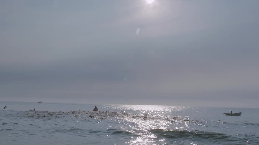 Birds are floating in the water as a boat floats nearby in the water