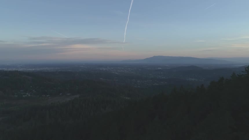 Forest full of conifers surrounded by hills and valleys during sunset