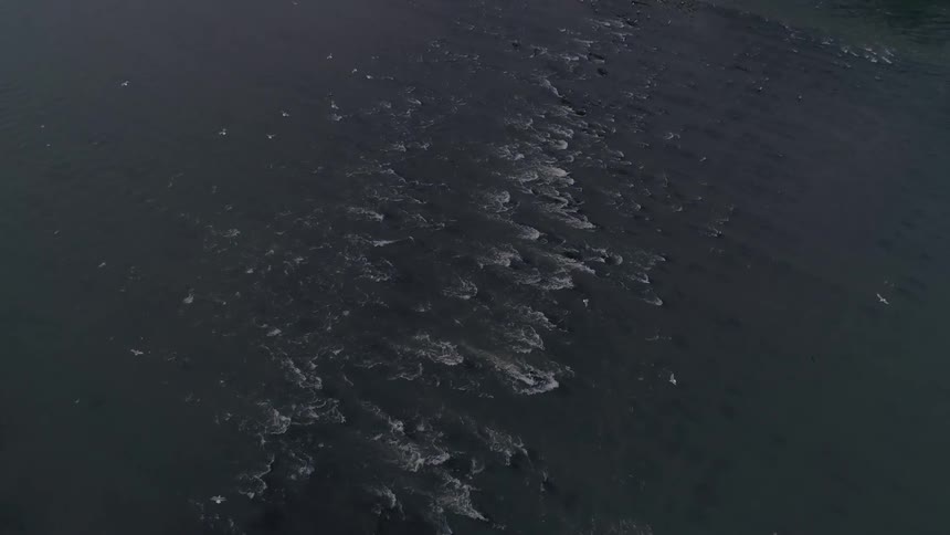Waves are moving in the ocean