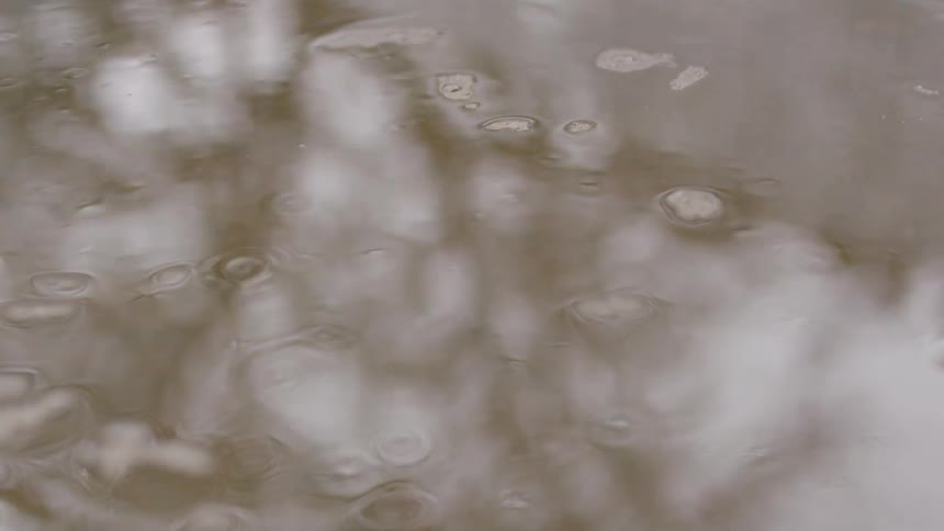 Rain hits a puddle on the ground