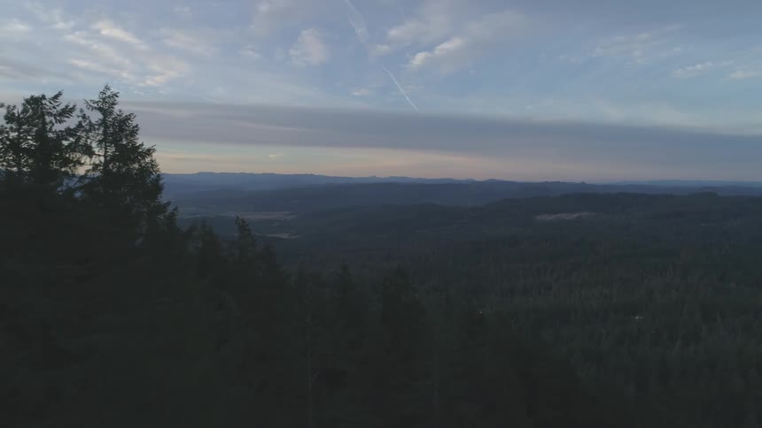 Pine trees cover a mountainside at sunset