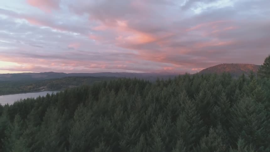 Grey and orange clouds over the forest