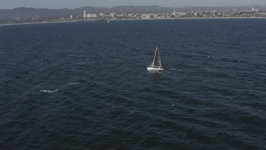 A white sailboat floats just off the coast of a city