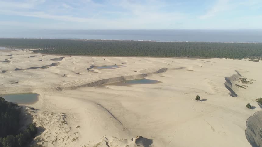 Sand bordered by forests