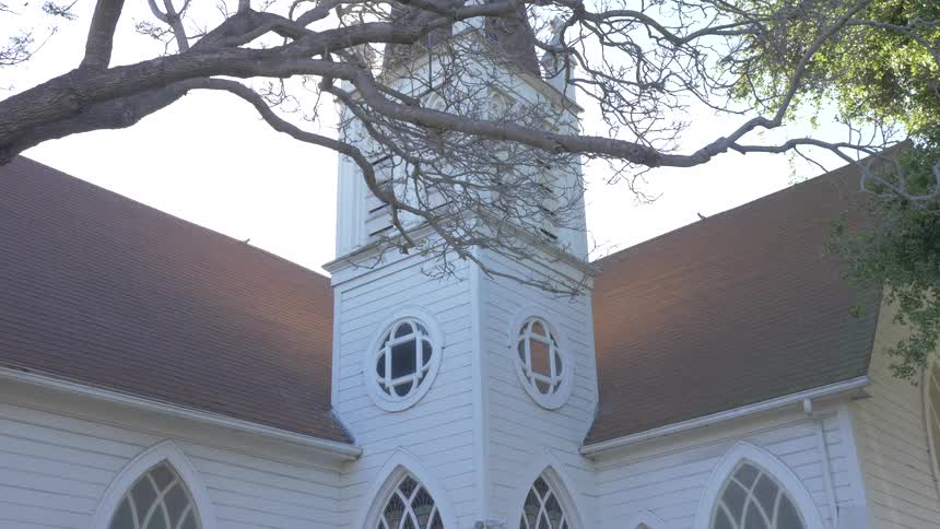 Standing silently behind the gnarled branch of a nearby tree sits a white building with a single spire
