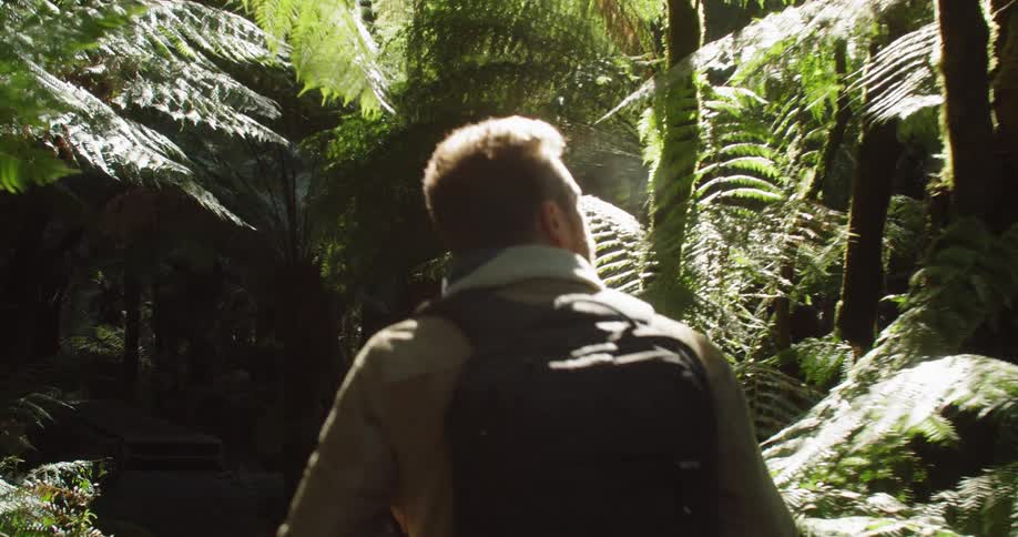 Man Exploring Waterfall