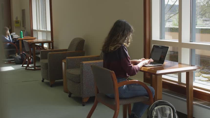 A female working at a laptop in front of a window