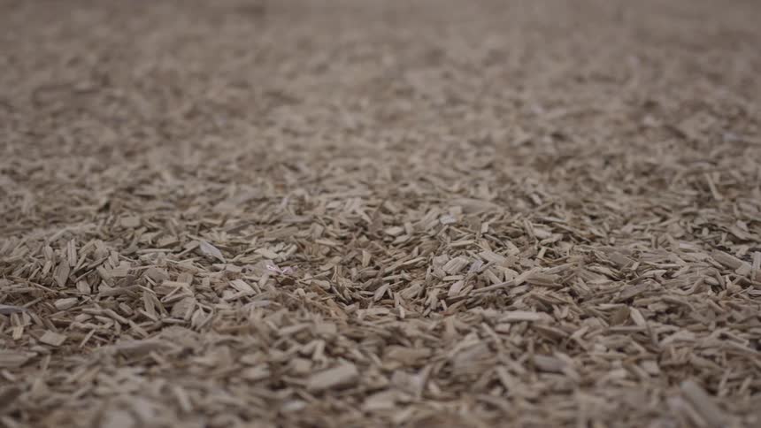 Wood chips laying on the ground outdoors