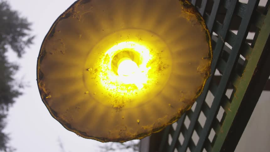 A light bulb shines in broad daylight
