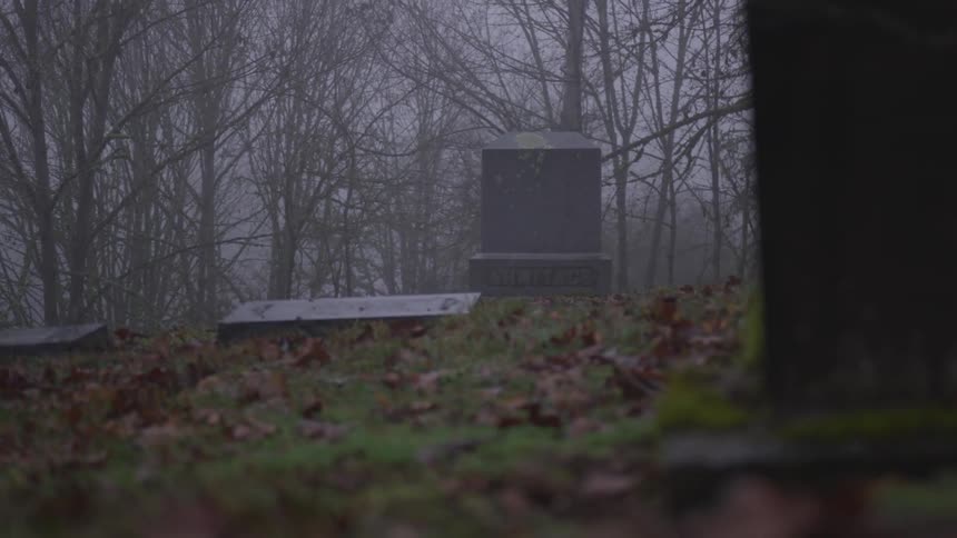 Cemetery in fog