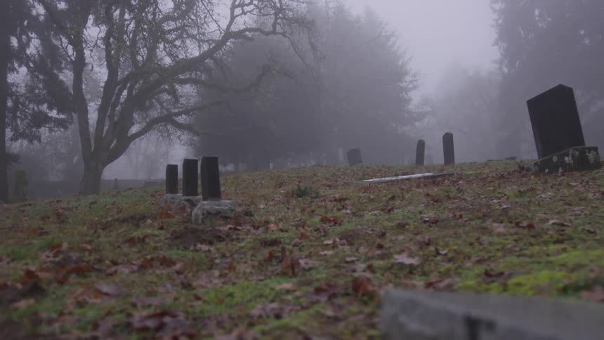 Foggy graveyard during fall
