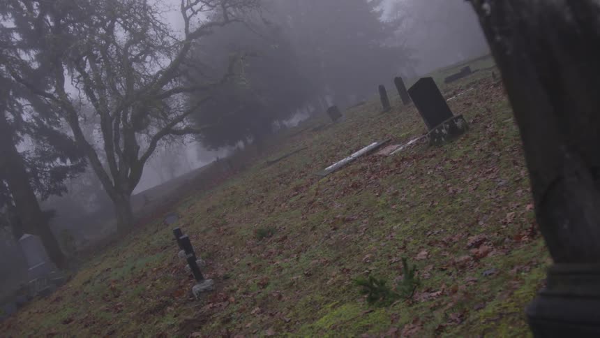 Tombstones in nearly empty graveyard