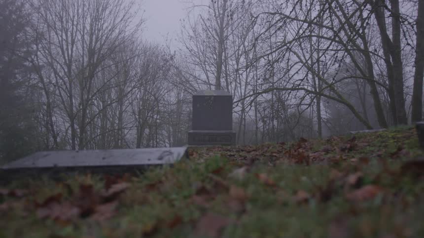 Grave stones and trees during winter