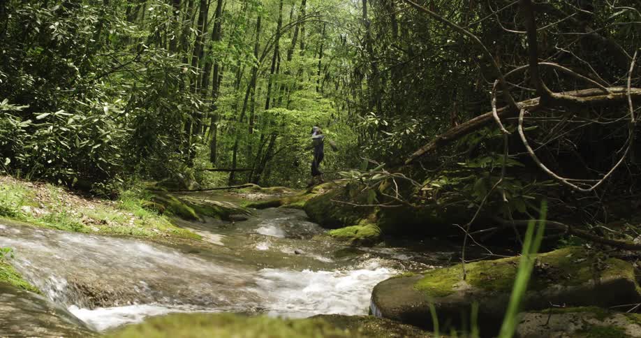 Woman Hiking Through Woods
