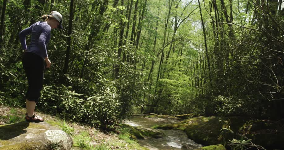 A woman walks through a stream along the forest