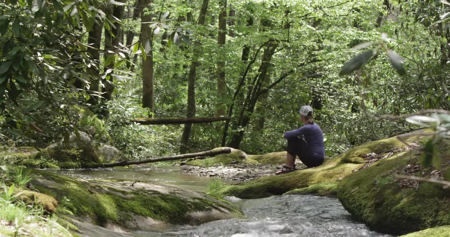A person sits down by a stream on a sunny day