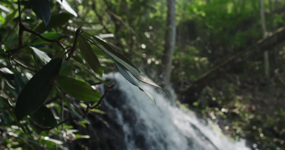 A rushing waterfall