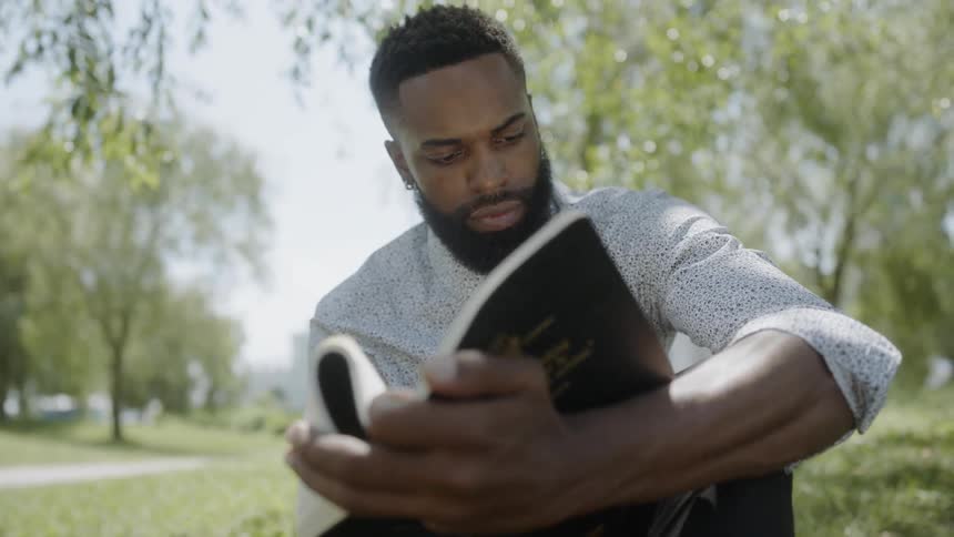 Man reading a book on a park