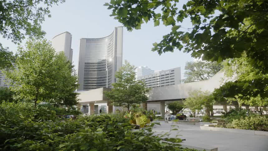 Trees and bushes grow near city buildings
