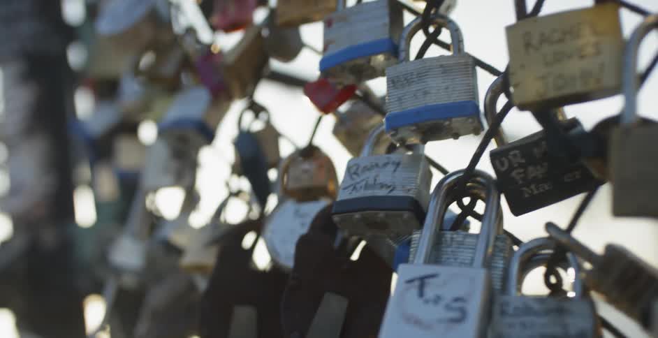 Locks on a fence