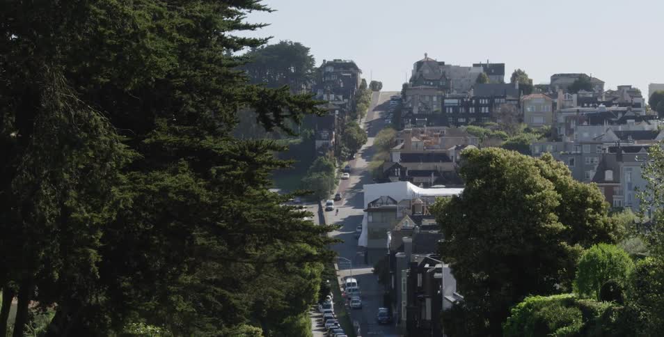 Vehicles sit on city streets surrounded by trees