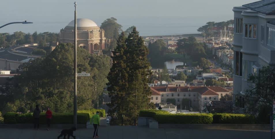Man walks dog with suburbs in background