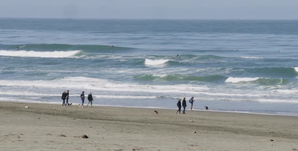 People walking along the beach