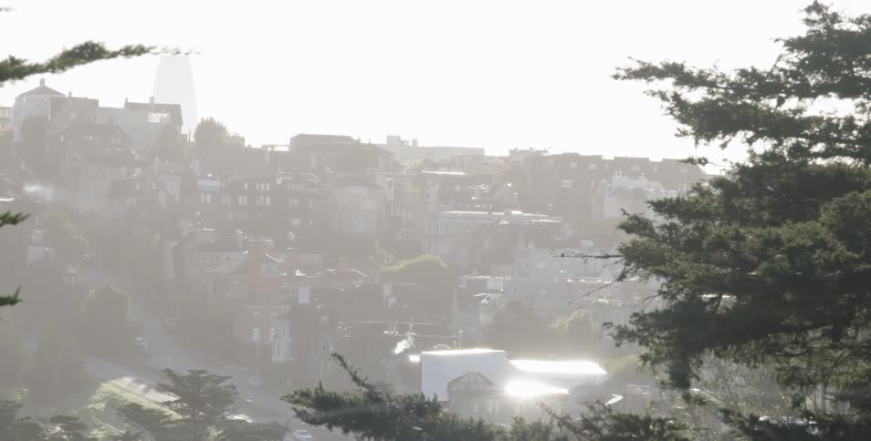 Fog covered town during day
