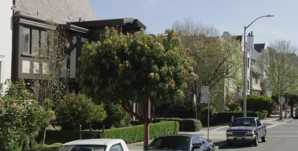 Cars are parked on a street in a residential neighborhood