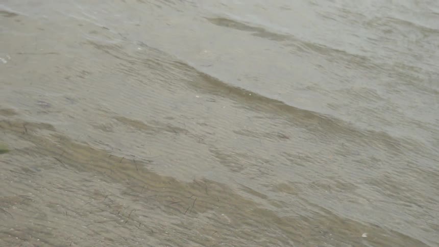 Waves ripple across water