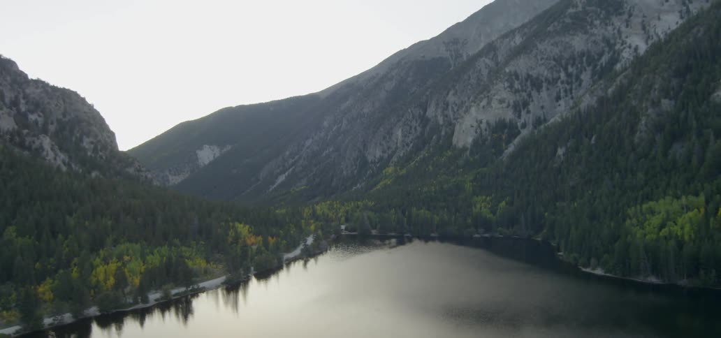 Trees cover the the bottom of mountains